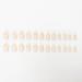 Buy Justotry 24 pcs Stiletto Nails - Milky French & Nude Almond Press-On Acrylic Fingernails for Women - Short Fake Nails for Effortless Style - Buy Online on GoSupps.com