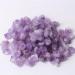 Crystal Rough Stone 500g Rough Amethyst Vug Crystal Small Specimen Decoration Bulk Balance Gemstone Decoration - Buy Online on GoSupps.com