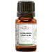 MY COSMETIK - Plant ceramides - 100% plant-based cosmetic active ingredient - Protects hydrates and strengthens the hair fiber - Cosmetic quality - 10 ml