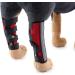 Dog Knee Brace 2-Pack Dog Rear Leg Brace for Rehabilitation of Injured Dislocated Patella Torn ACL Arthritis or Diseased Legs Dog Canine Rear Hock Joint Wrap|Red (L) - Buy Online on GoSupps.com