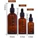 3 Pcs Empty Refillable Amber Glass Graduated Dropper Bottle Essential Oil Cosmetics Elite Fluid Container Jar Pot Holder with Glass Pipette Dropper (100ML /3.4oz) - Buy Online on GoSupps.com