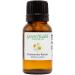 Chamomile (Roman) Essential Oil - 15 ml - 100% Pure & Natural - Amber Glass Bottle w/Euro Dropper - GreenHealth - Buy Online on GoSupps.com