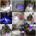 TASHELLS Ultrasonic Mist Maker Halloween Witch Light Indoor Decoration Mini Ultrasonic Fogger Mist Fountain for Pond Zinc Mist Maker-uk - Buy Online on GoSupps.com