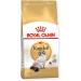 Royal Canin Cat Food Ragdoll 2kg