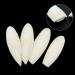 Leikedun 4 PCS Large Cuttlefish Bone(13-16cm) Birds Parrots Chewing Toys Birds Chew Toys Natural Cuddle Bone for Parrots Cage Birds Reptiles Tortoises Snails - Buy Online on GoSupps.com