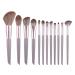Beauty Tools Foundation Eye Shadow Brush Set Slant Cut 12 Makeup Brushes Complete