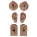 Silicone Human Ear Model 3 Pair - Dark Skin Color - High Simulation Elastic Model - Hand Crafted - Reusable for Display Props and Earrings - Buy Online on GoSupps.com