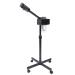 Vaporisateur l'e pour le visage - Avec cran LCD - Buse rotative 360 - 600 ml - 750 W - Noir