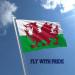 Shachi Great Wales Flag - Welsh Dragon 3ft x 2ft | Polyester Tissue with Brass s for FIFA World Cup Football Rugby & Sports - Buy Online on GoSupps.com