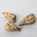 LWXLJMJZC-Pagoda Black Tea Chinese Dian Hong Black Tea Pagoda Shaped Golden Needle Hand Made Black Tea 50g 50g Pagoda Shaped Black Tea - Buy Online on GoSupps.com