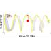 2pcs Cat Coil Toy Set - Foldable 65cm Kitten Play Tunnel with Plush Ball & Feather Stick - Multicolor Spiral Cat Toy Tunnel - Buy Online on GoSupps.com