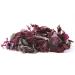 Buy Organic Dulse Bio Atlantic Algae Leaves - Vegan Umami Snack | Pureeraw 20g - Wild Seaweed for Cooking & Flavoring - Buy Online on GoSupps.com