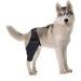 Toddmomy Pet Injury Knee Puppy Leg Brace Knee for Dogs Dog Knee Protectors Dog Leg Brace Dog Supplies Dog Knee Cover Dog Injured Knee Dog Leg Cover Pet Injury Supply S As Shown - Buy Online on GoSupps.com