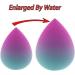Soft And Elastic Color Cosmetics Egg Vibrant Make Up Sponge Achieve Seamless Makeup Looks Effortlessly(Black) - Buy Online on GoSupps.com