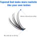Bransfy False Eyelashes Clusters 280pcs DIY D Curl Long Individual Lashes - Faux Mink Lash Extensions 9-16mm Mix (30D+40D) - Buy Online on GoSupps.com