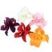 5 pieces women big double chiffon orchid flower b hmic flowers hair clip artificial tropical flower hair needle hawaii hibiscus plumeria flower clips hairpin hairpise
