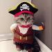 Idepet Caribbean Pirate Cat Costume Funny Dog Pet Clothes Suit Corsair Dressing up Party Apparel Clothing for Dogs Cat Plus Hat (M)