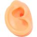 Flexible Reusable Human Ear Model for Piercing Training - Left Ear | Waterproof & Authentic - Buy Online on GoSupps.com