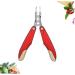 minkissy Fingernails Nippers Multipurpose Tool Steel Cuticle Pedicure Nail Cuticle Nail Nipper Cuticle Toe Nail Clipper Cuticle Clipper Pusher - Buy Online on GoSupps.com