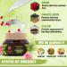 Botanic Rain SPF 30 Ayurvedic Face Moisturizer - Organic Vegan Formula with Rose & Eladi for All Skin Types - Buy Online on GoSupps.com