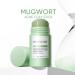 OKAY Mugwort Clay Mask Stick for Face Deeply Cleans Blackheads and Pores Reduces Excess Oil Mud Mask for Acne Treatment Soothes Skin with Mugwort Essence 1 Piece 1 Piece - Buy Online on GoSupps.com