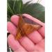 for 45mm Natural Crystal Pyramid Tiger's-Eye Quartz Tetrahedron Pyramid Reiki Minerals Quartz Crystals Stone gemst ningxiao - Buy Online on GoSupps.com