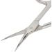 Nail Scissors Cuticle Scissors Cuticle Scissors Nail Scissors Cuticle Nippers Made of Stainless Steel Stainless Steel Cuticle Trimmer Scissors with Rivet Fix Arc-shaped Design - Buy Online on GoSupps.com