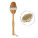 Premium Body Brush - Exfoliating Dry Skin Brush for Spa-Like Bath & Shower Care - Buy Online on GoSupps.com