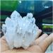 Health & Household Natural Rare White Quartz Crystal Cluster (Size : 400-500g) - Buy Online on GoSupps.com