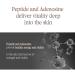 Buy Pyunkang Yul Black Tea Enriched Cream 60ml - Korean Anti-Aging Moisture Cream for Women | Wrinkle Care & Skin Brightening with Peptide & Adenosine - Buy Online on GoSupps.com