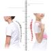 Adjustable Posture Corrector Back Support Belt Orthopedic Corset for Spine Back Lumbar Shoulder Braces (Pink XL Code) - Buy Online on GoSupps.com