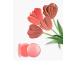 Stila Convertible Color Lip & Cheek Cream - Petunia 0.15oz | International Shipping Available - Buy Online on GoSupps.com