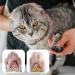 Njula Paw Care Stick Paw Ointment Stick Njula Paw Care Balm Pet Care Cream Njula Paw Moisturizer for Dry Paw Pads Cuddlesmeow Pet Care Creams for Dry Skin (2pcs) - Buy Online on GoSupps.com