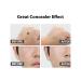 DASHU Perfect Cover Concealer & Eye Shadow Primer - Dark Circle Treatment - Buy Online on GoSupps.com