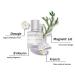 OUSHANG-Ambery Saffron-Eau de Parfum - Vegan Unisex Perfume Spray 1.7 Fl Oz (50ml) - Buy Online on GoSupps.com