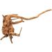 Fliyeong Aquarium Drift Wood Aquarium Factory Decoration Sunken Wood Habitat Root Landscaping Stylish - Buy Online on GoSupps.com