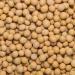 Wholefood Earth Organic Soya Beans 500g - GMO Free, Vegan, High Fibre & Protein - Certified Organic - Buy Online on GoSupps.com