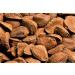 Buy Fresh Raw In-Shell Whole Brazil Nuts - 2.0 Pounds | International Shipping Available - Buy Online on GoSupps.com