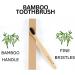 Eco-Friendly Oral Care Kit: Natural Toothpaste Tabs Bamboo Toothbrush & Tongue Scraper - Sustainable Planet Care - Buy Online on GoSupps.com