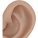 Silicone Flexible Ear Model - Dark Skin Color | Soft & Realistic Human Ear Replica - Buy Online on GoSupps.com