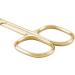 Livingo Premium Stainless Steel Cuticle Scissors with Case - 3.5 Gold - Buy Online on GoSupps.com