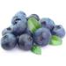 Sabarot - Canned blueberries 310g - Buy Online on GoSupps.com