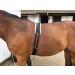 Cwell Equine Synthetic Fleece PAD LUNGE BREAKING TRAINING ROLLER + adjustable girth BLACK F/C/P - Buy Online on GoSupps.com