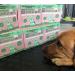Responsible Owner Dog Poo Bags 80 Environmentally Friendly Extra Thick Super Strong 100% Biodegradable Dog Bags With Easy-tie Handles Leak-proof Each Dog Poo Bag Measures 17 x 37cm Earth Green Earth Green 1 count (Pack of 1) - Buy Online on GoSupps.com