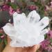 Natural Clear Quartz Crystal Cluster Minerals for Reiki Stone Home Furnishing Decoration Suitable for Furniture Decoration Full of Texture (Size : 700-800g) - Buy Online on GoSupps.com