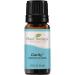 Plant Therapy Clarity Essential Oil Blend 10 mL (1/3 oz) 100% Pure Undiluted Therapeutic Grade