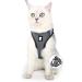 FDOYLCLC Cat Harness and Leash Set for Walking Escape Proof, Step-in Easy Control Outdoor Jacket, Adjustable Reflective Breathable Soft Air Mesh Vest for Small, Medium, Large Kitten Large (Chest: 15.7" - 17.7") Silver Grey