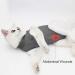 Lianzimau Anti-Licking Katzenbody for Post-Op Cats | Soft Indoor Pet Clothing | E-Neck Band | Gray (1 Pack) - Buy Online on GoSupps.com