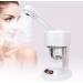 Hot Mist Face Steamer Multi-Functional Face Steamer Mini Portable for Desk Dressing-Table(US standard 110V) - Buy Online on GoSupps.com