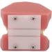Orthodontic Bracket Model - Dental Resin Model & Portable Metal Wire for Student Learning - Buy Online on GoSupps.com